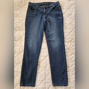 Curve Appeal Essential Skinny High Rise Jeans